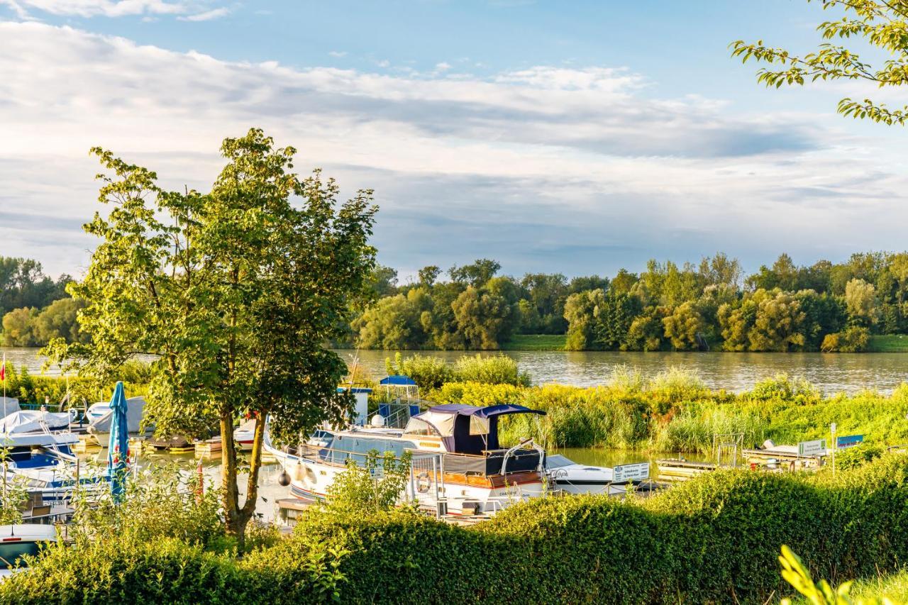 Camping & Pension Au An Der Donau Екстер'єр фото