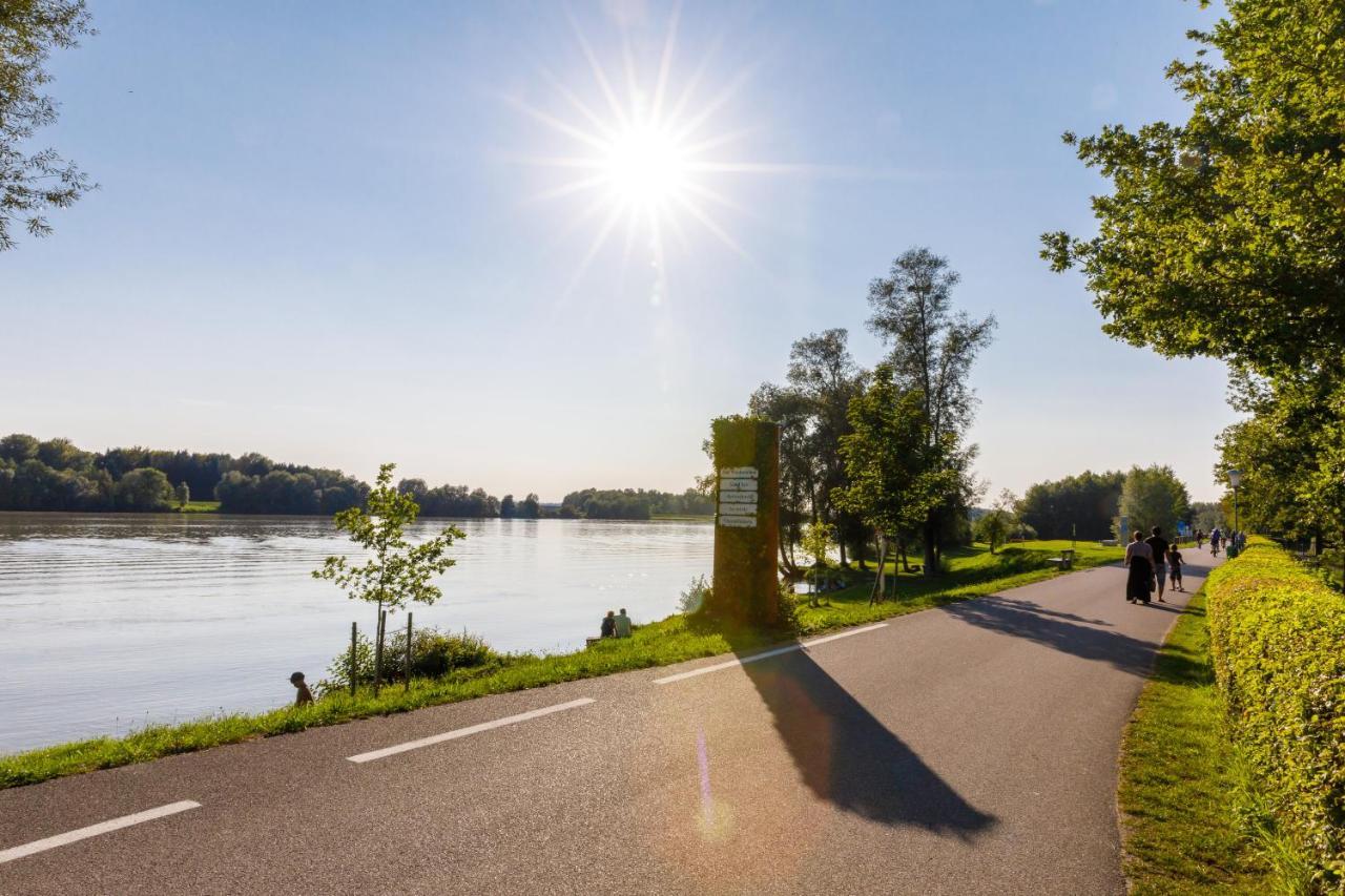 Camping & Pension Au An Der Donau Екстер'єр фото