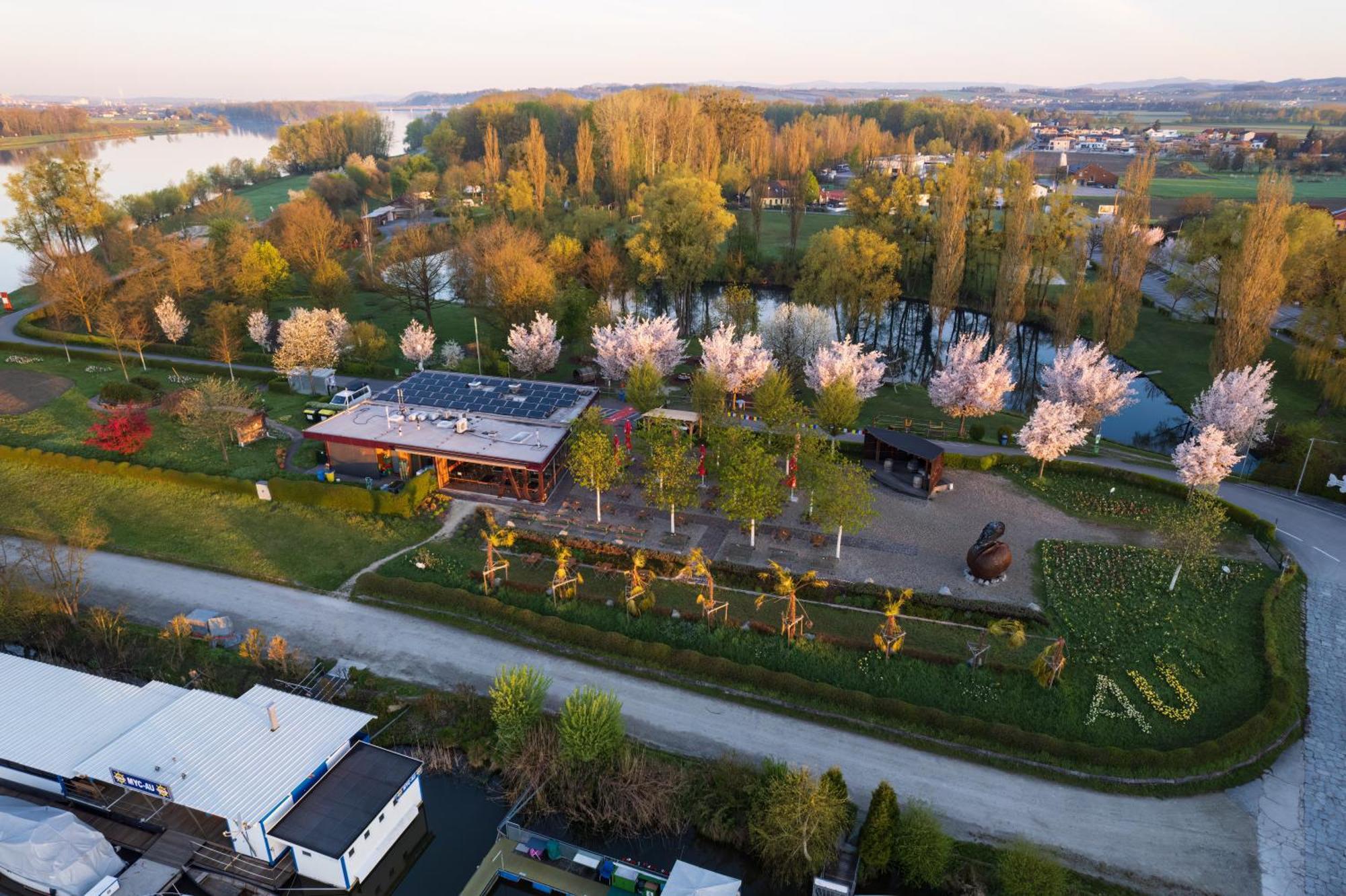 Camping & Pension Au An Der Donau Екстер'єр фото