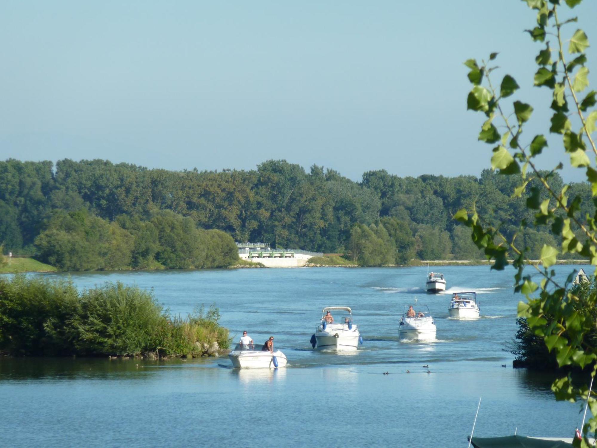 Camping & Pension Au An Der Donau Екстер'єр фото