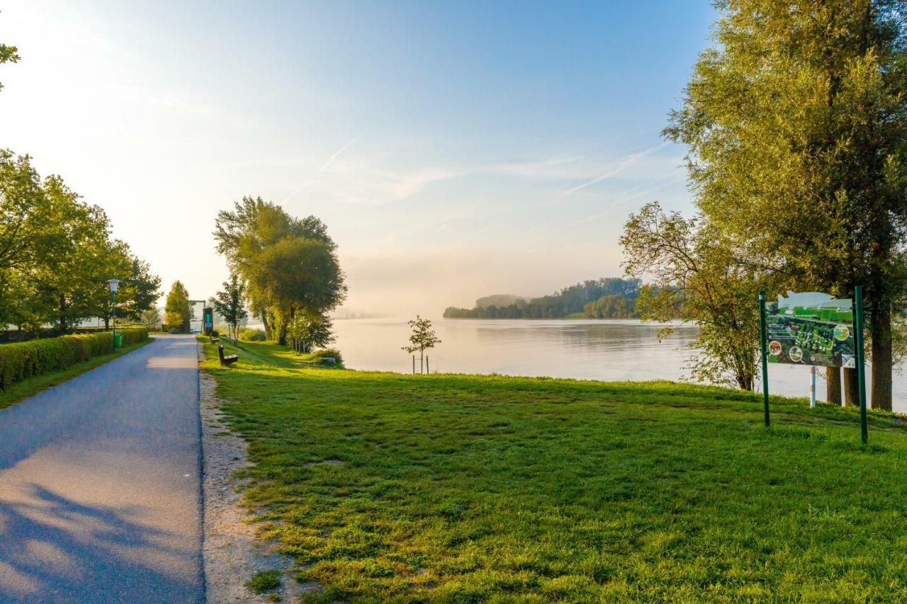 Camping & Pension Au An Der Donau Екстер'єр фото